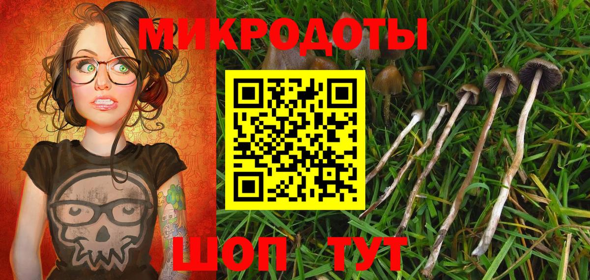 Мичуринск  как найти   Вход с VPN  Галлюциногенные грибы Cubensis 