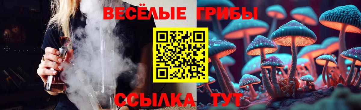 Галлюциногенные грибы Psilocybe Мичуринск
